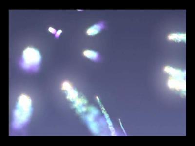 Pyreflies 1